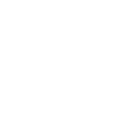 Competitive audit report