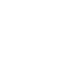 Investor Demo Support
