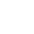 Custom Theme or Frontend Build