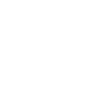 Edge Case & Adversarial Testing