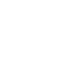 Insight & Recommendation Layer