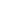 Integration Audit
